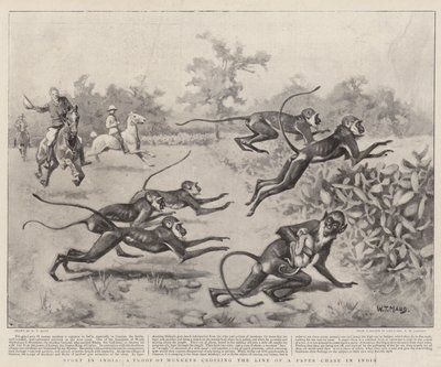 Sport in India, a Troop of Monkeys crossing the Line of a Paper Chase in India by William T. Maud